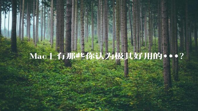 Mac上有那些你认为极其好用的***？