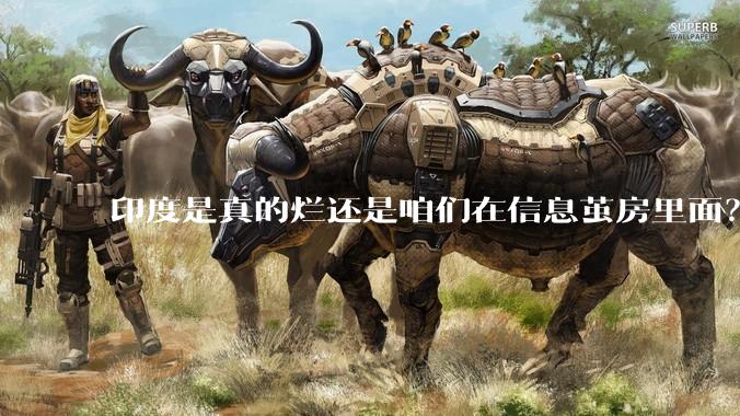 印度是真的烂还是咱们在信息茧房里面？