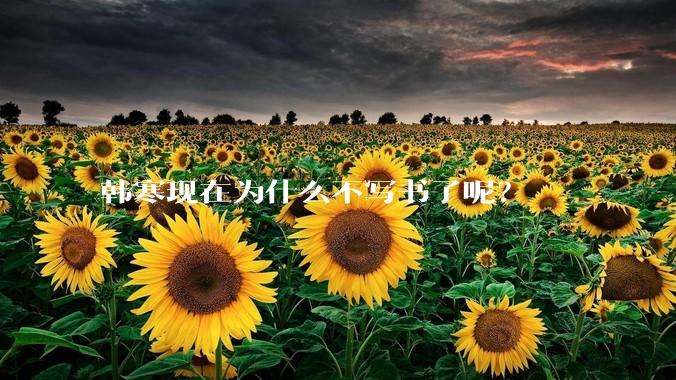 韩寒现在为什么不写书了呢？