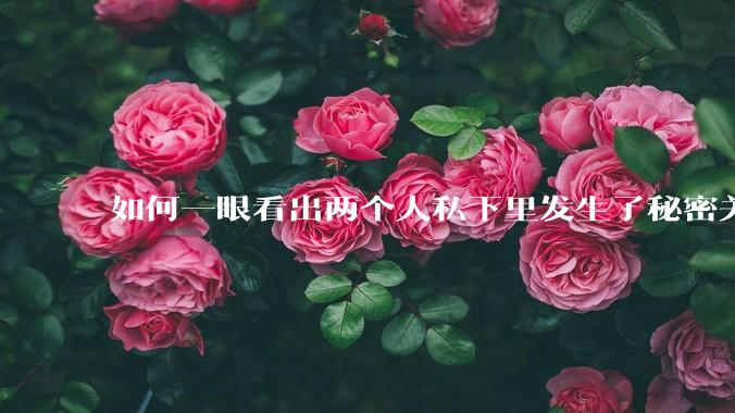 如何一眼看出两个人私下里发生了秘密关系？