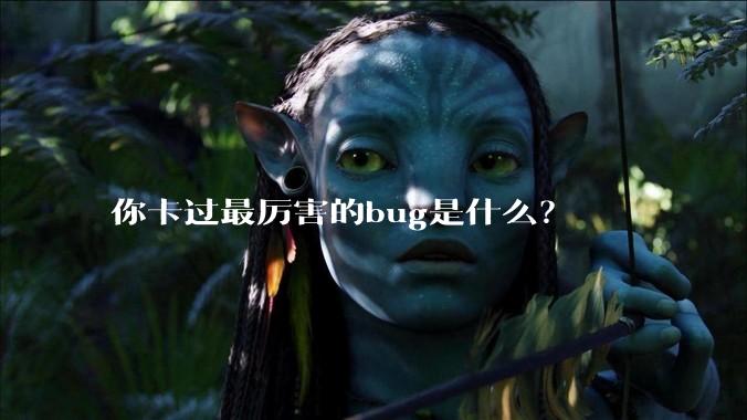 你卡过最厉害的bug是什么？