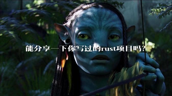 能分享一下你写过的rust项目吗？