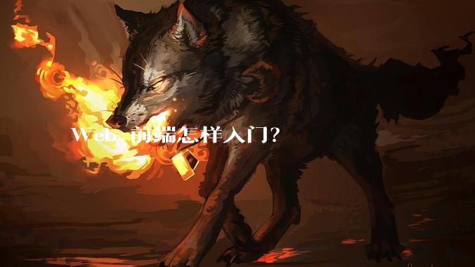 Web 前端怎样入门？