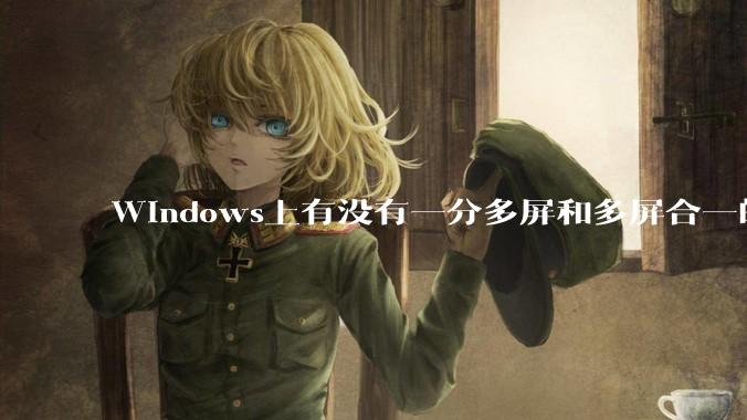 Windows上有没有一分多屏和多屏合一的软件？