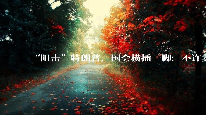 “阻击”特朗普，国会横插一脚：不许卖，中国用三流芯片都能击败我们_法案_美国_出口