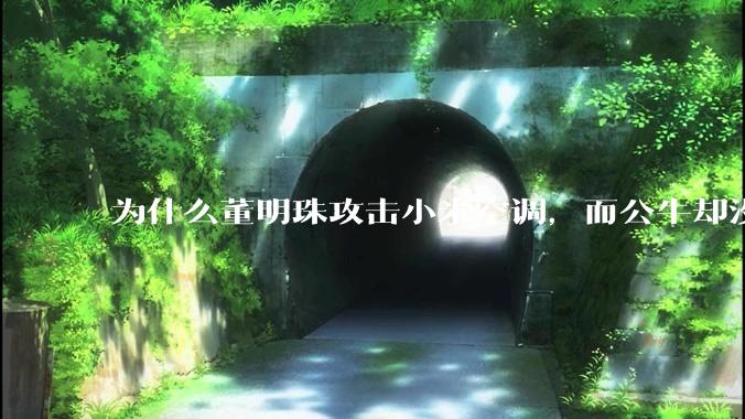 为什么董明珠攻击小米空调，而公牛却没有攻击小米插座？