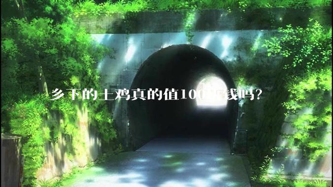 乡下的土鸡真的值100块钱吗？
