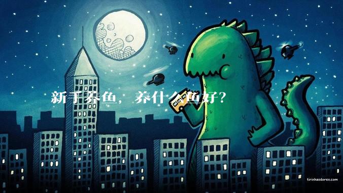 新手养鱼，养什么鱼好？