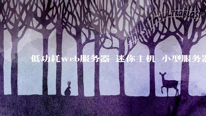 低功耗web服务器 迷你主机 小型服务器 求推荐？