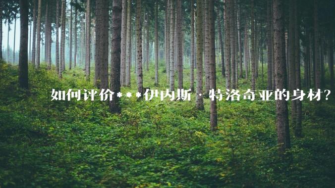 如何评价***伊内斯·特洛奇亚的身材？