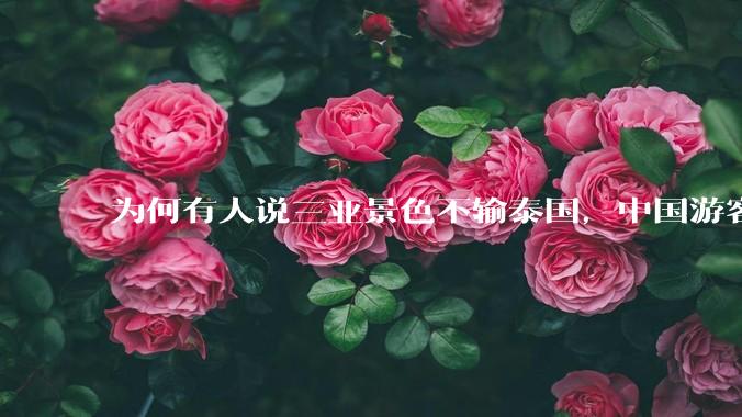 为何有人说三亚景色不输泰国，中国游客却更爱去泰国？