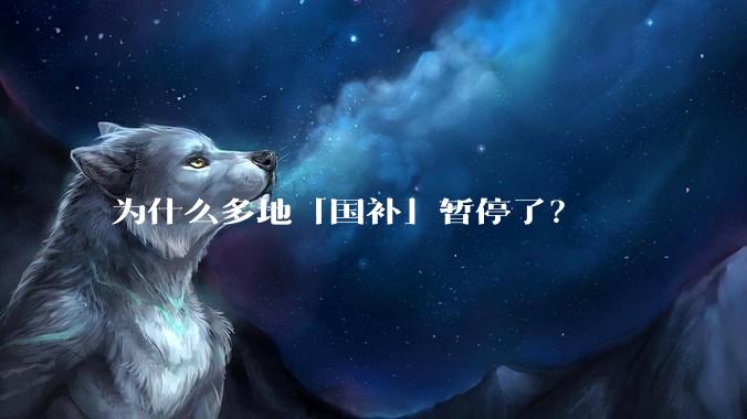 为什么多地「国补」暂停了？