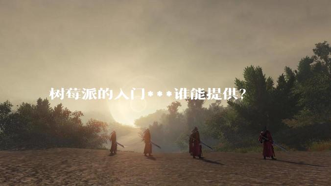 树莓派的入门***谁能提供？