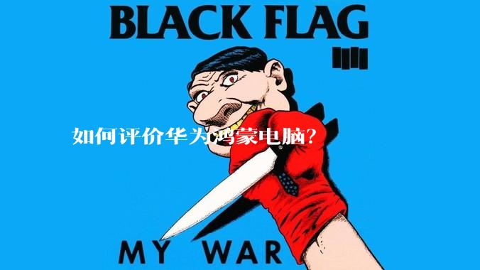 如何评价华为鸿蒙电脑？