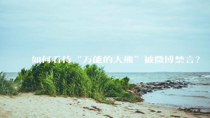如何看待“万能的大熊”被微博禁言？