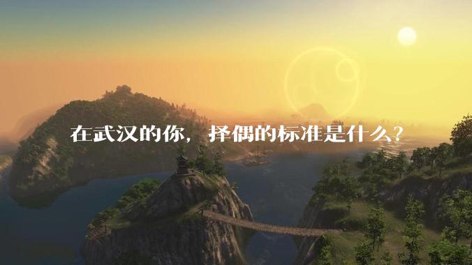 在武汉的你，择偶的标准是什么？
