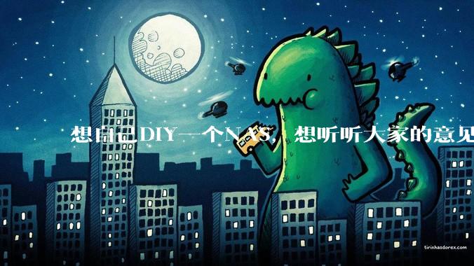 想自己DIY一个NAS，想听听大家的意见。？