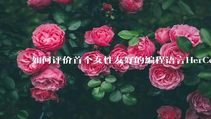 如何评价首个女性友好的编程语言HerCode?